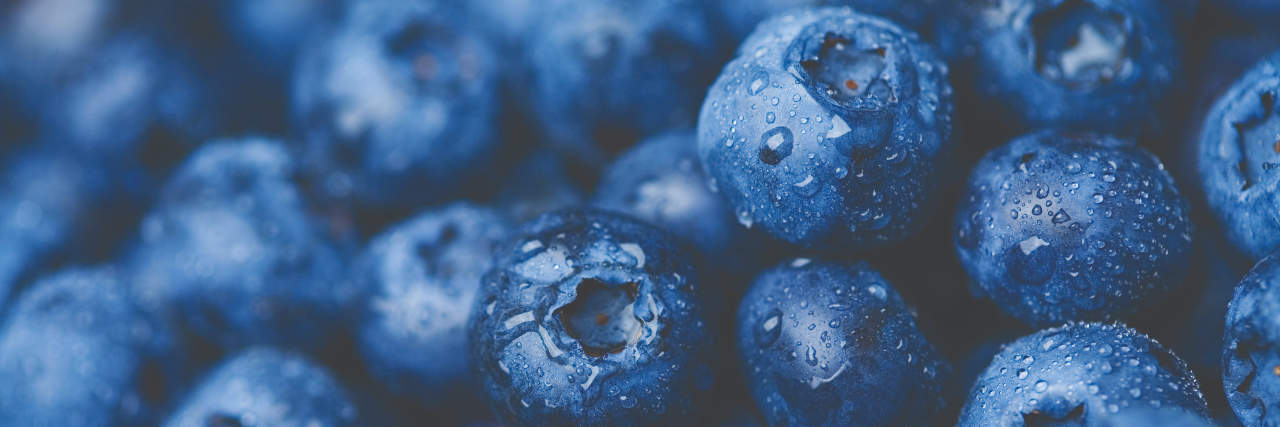 Blueberries up close with water on them