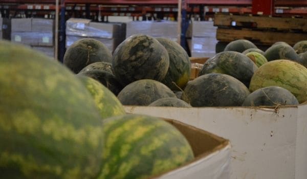 Watermelon in warehouse - front is out of focus, back is in focus