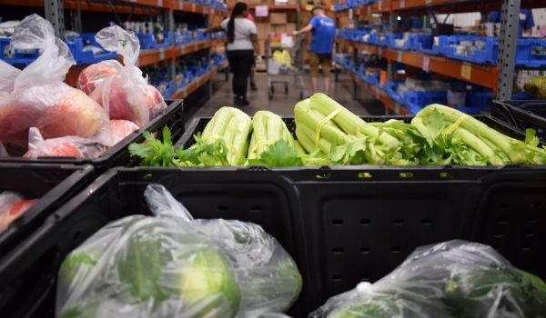 Celery, apples and bell peppers arranged in a crate in a warehouse